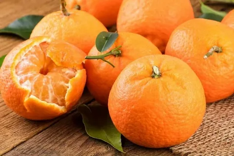 تصویر 4 از قیمت و خرید نارنگی شیرین آبدار + فروش ارزان